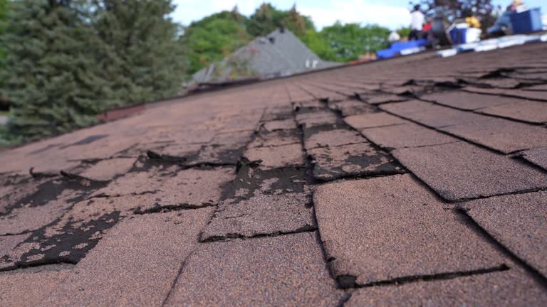 Best Roof Moss and Algae Removal  in Oasis, CA